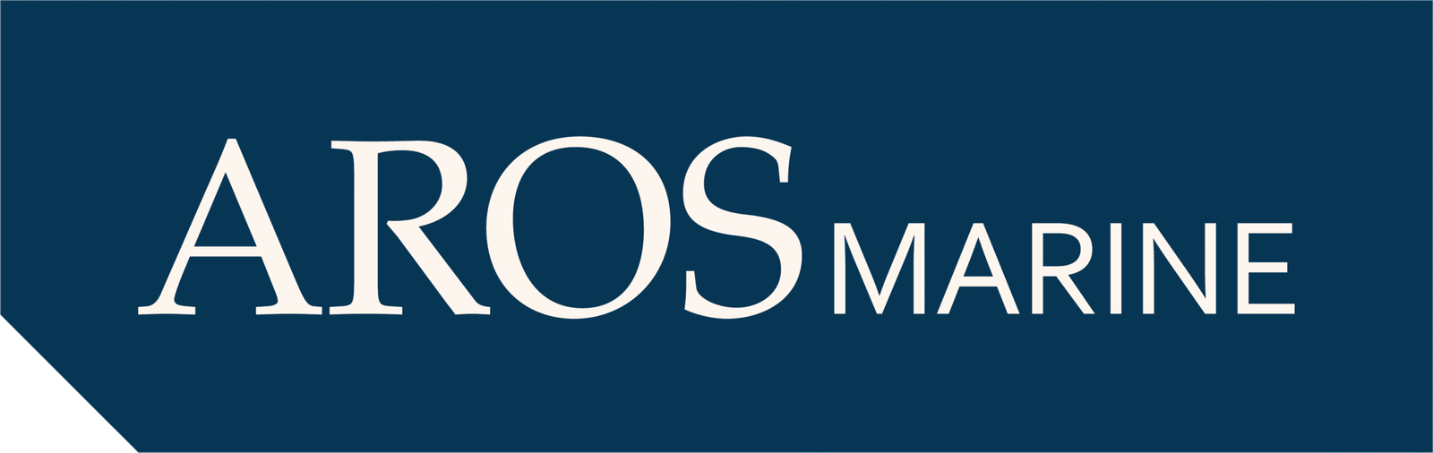 Logotipas_melynas_horizontalus